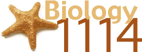 biol1114_logo