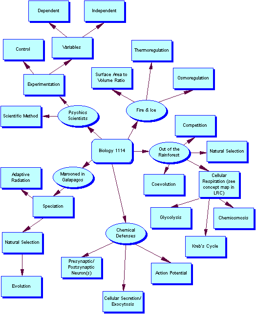 Biology 1114 Semester Concept Summary