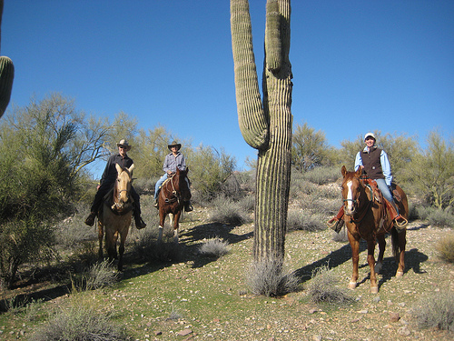 Rancho-de-los-Caballeros-Cowgirls-Saguaro-cactus