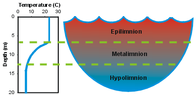 lake turnover water temperature