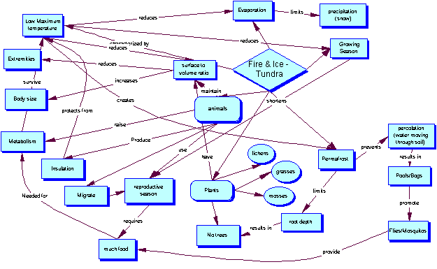 Ментальная карта тундра