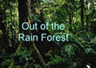 3 - Out Of The Rain Forest