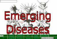 7 - Emergin Diseases