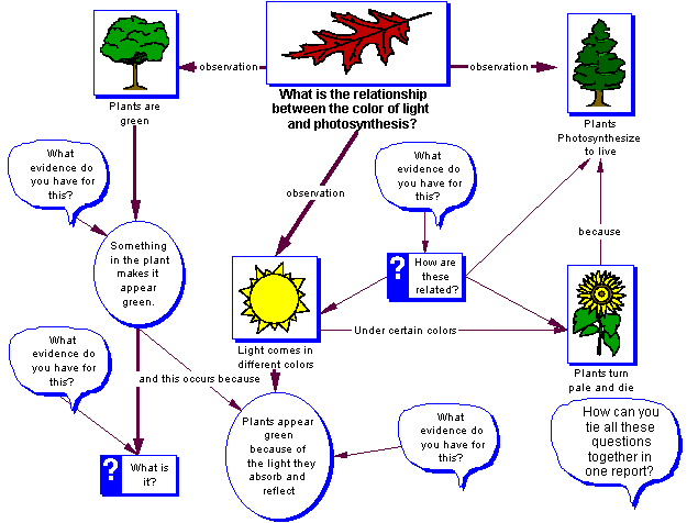 What is the relationship between the color of light and photosynthesis?