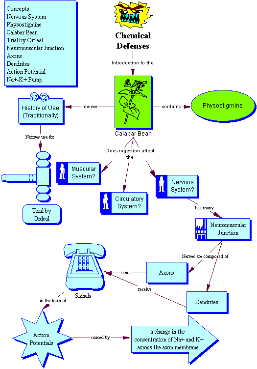 Chemical Defenses